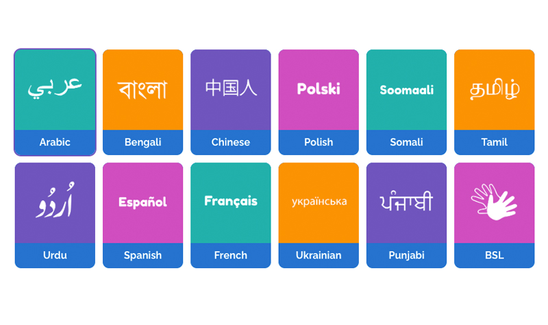 a selection of the language icons